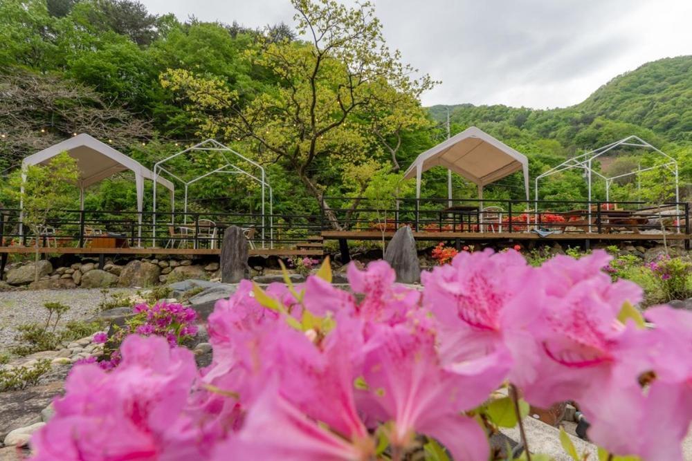 Hadong Hanok Pension The Better Day Exterior foto